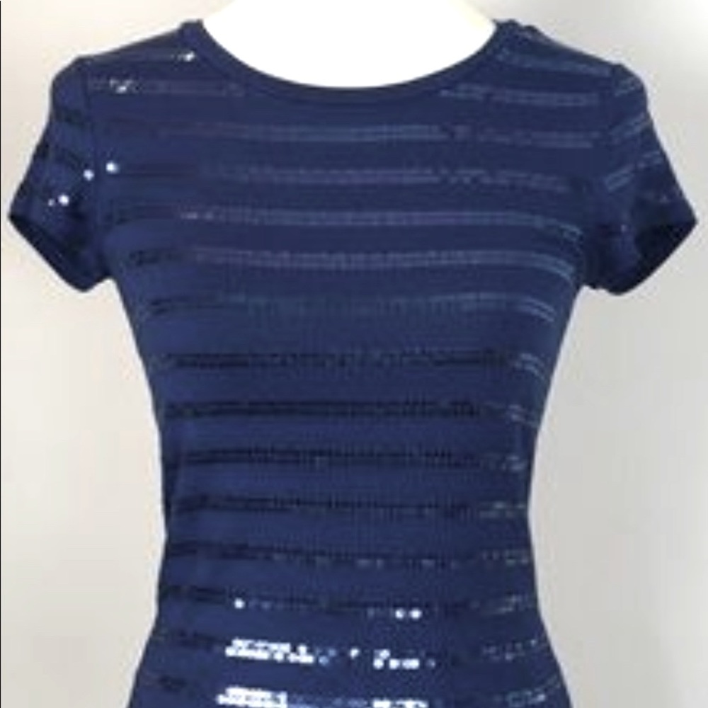 Ann Taylor Striped Sequin Top (Small)